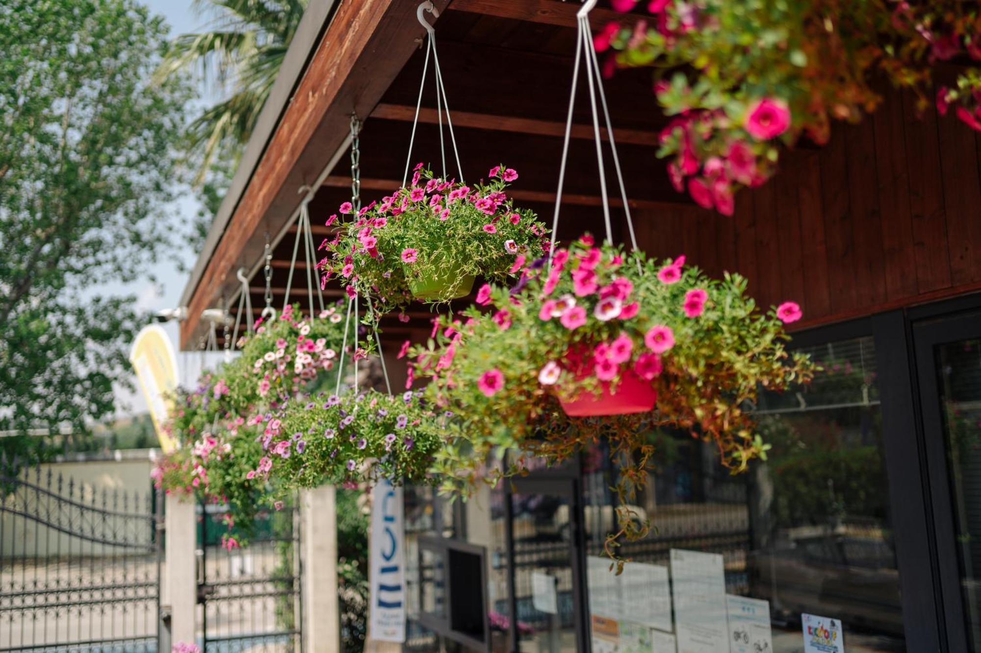 Village Lake Placid Silvi Marina Extérieur photo